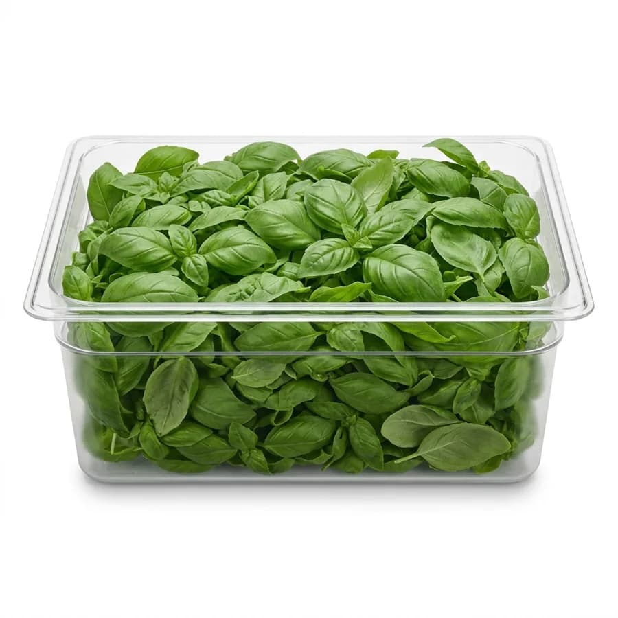 Albahaca