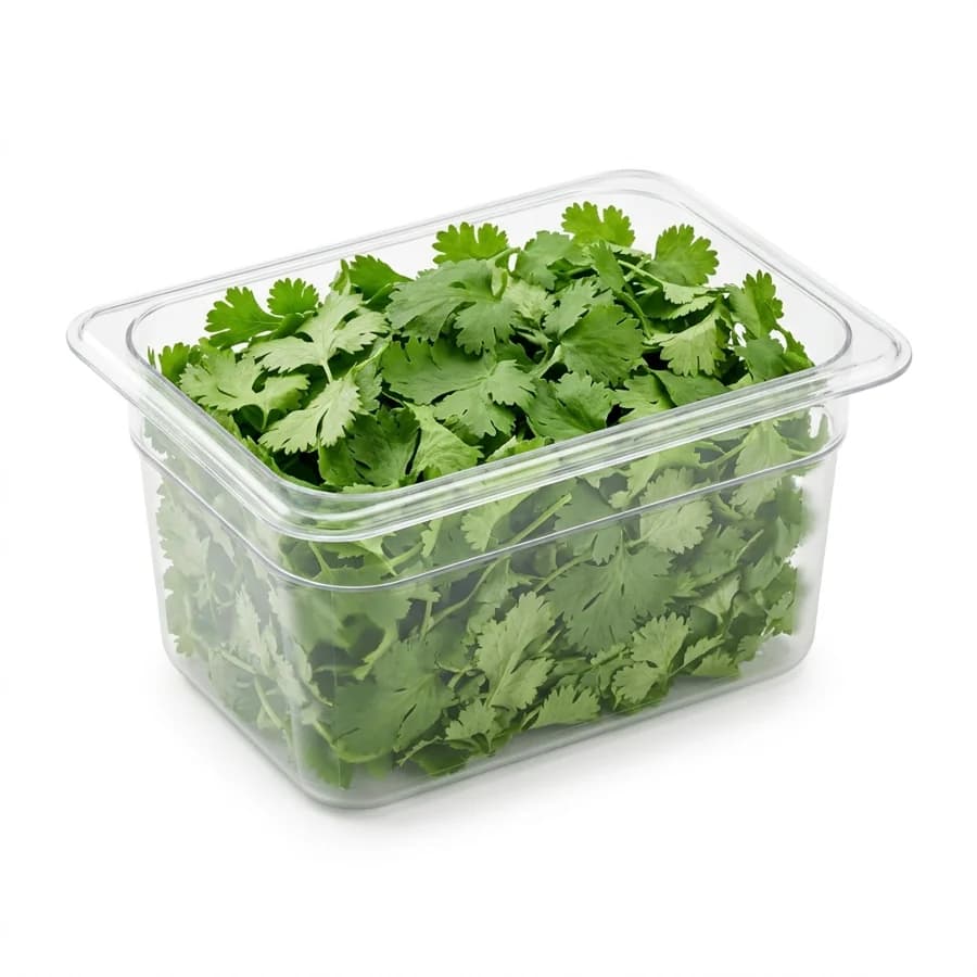 Cilantro